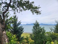 The view