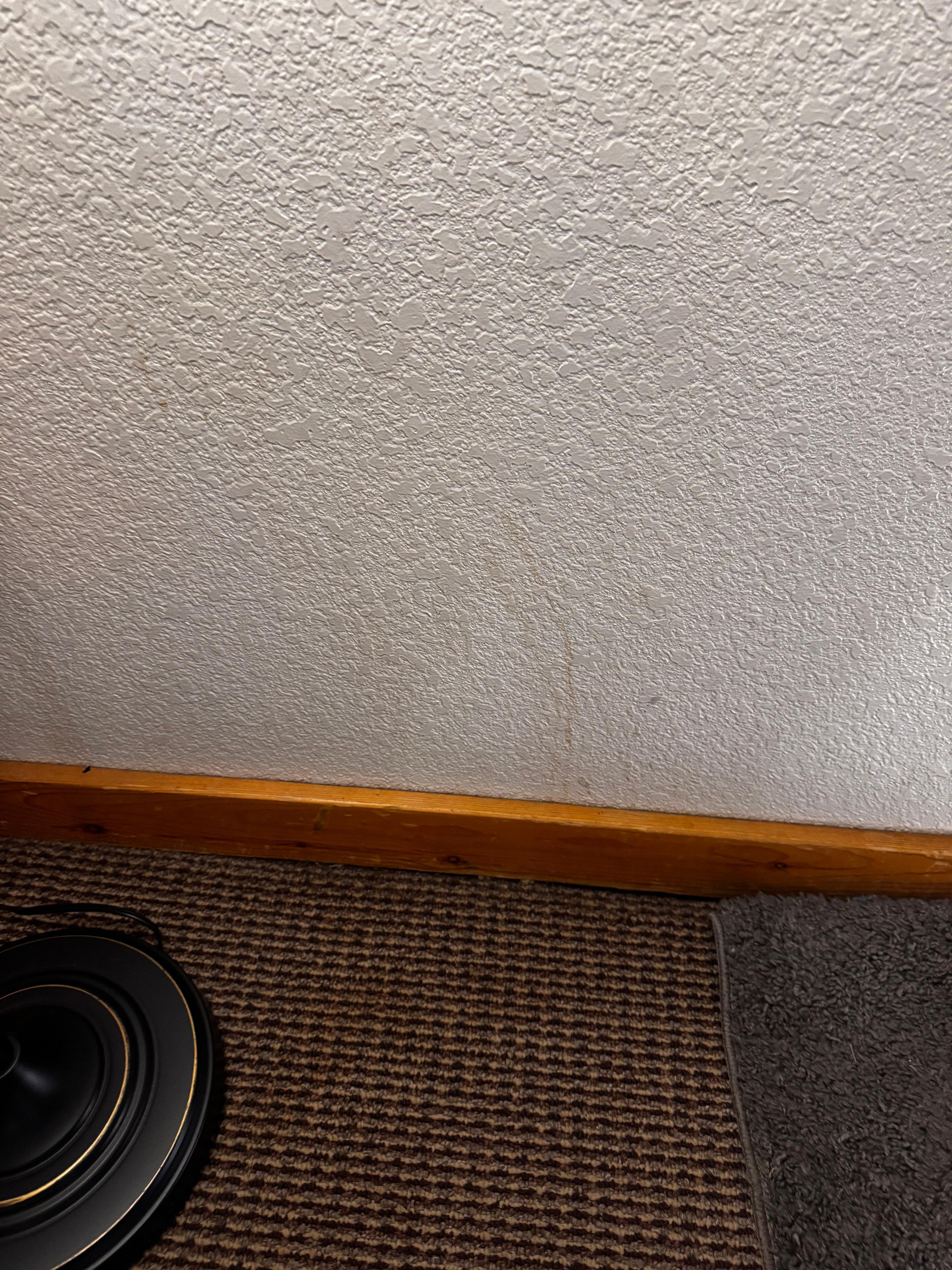 Brown on the walls