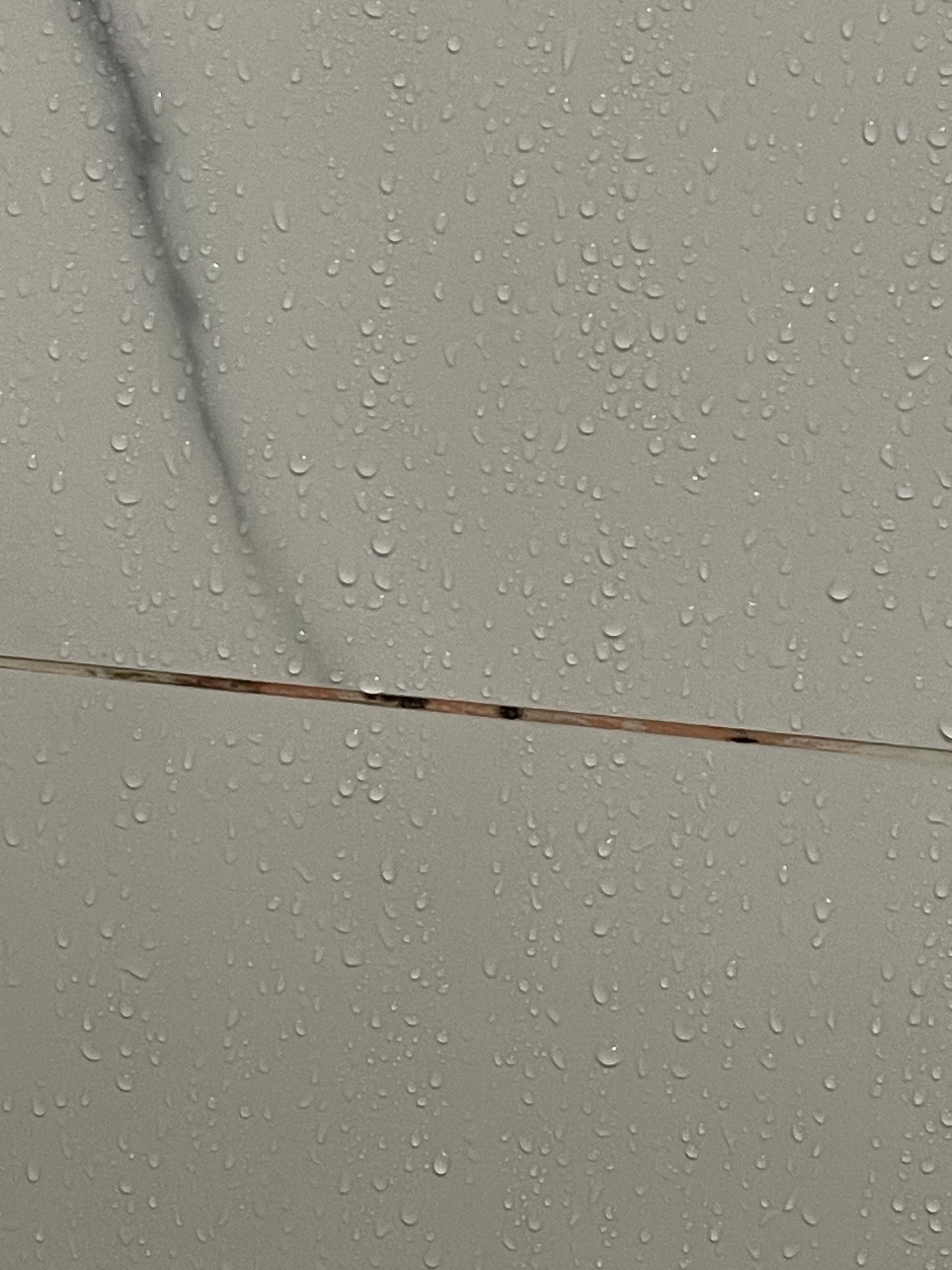 Mold