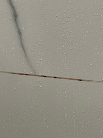 Mold