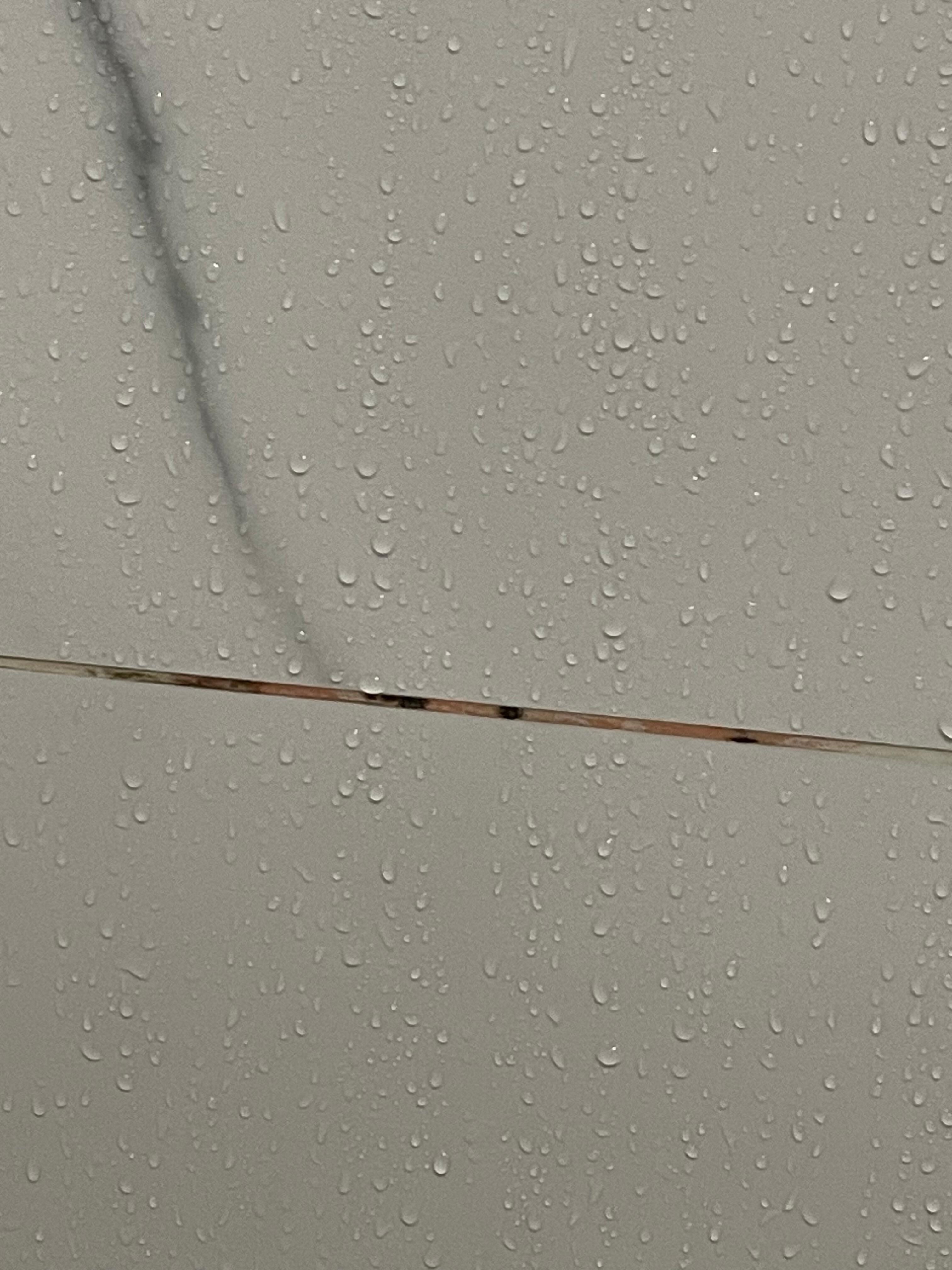 Mold