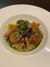 Scalllop risotto at Lime 303