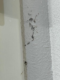 Up close: mold behind bathroom door