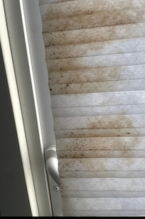 The blinds in the room my son was supposed to stay in…