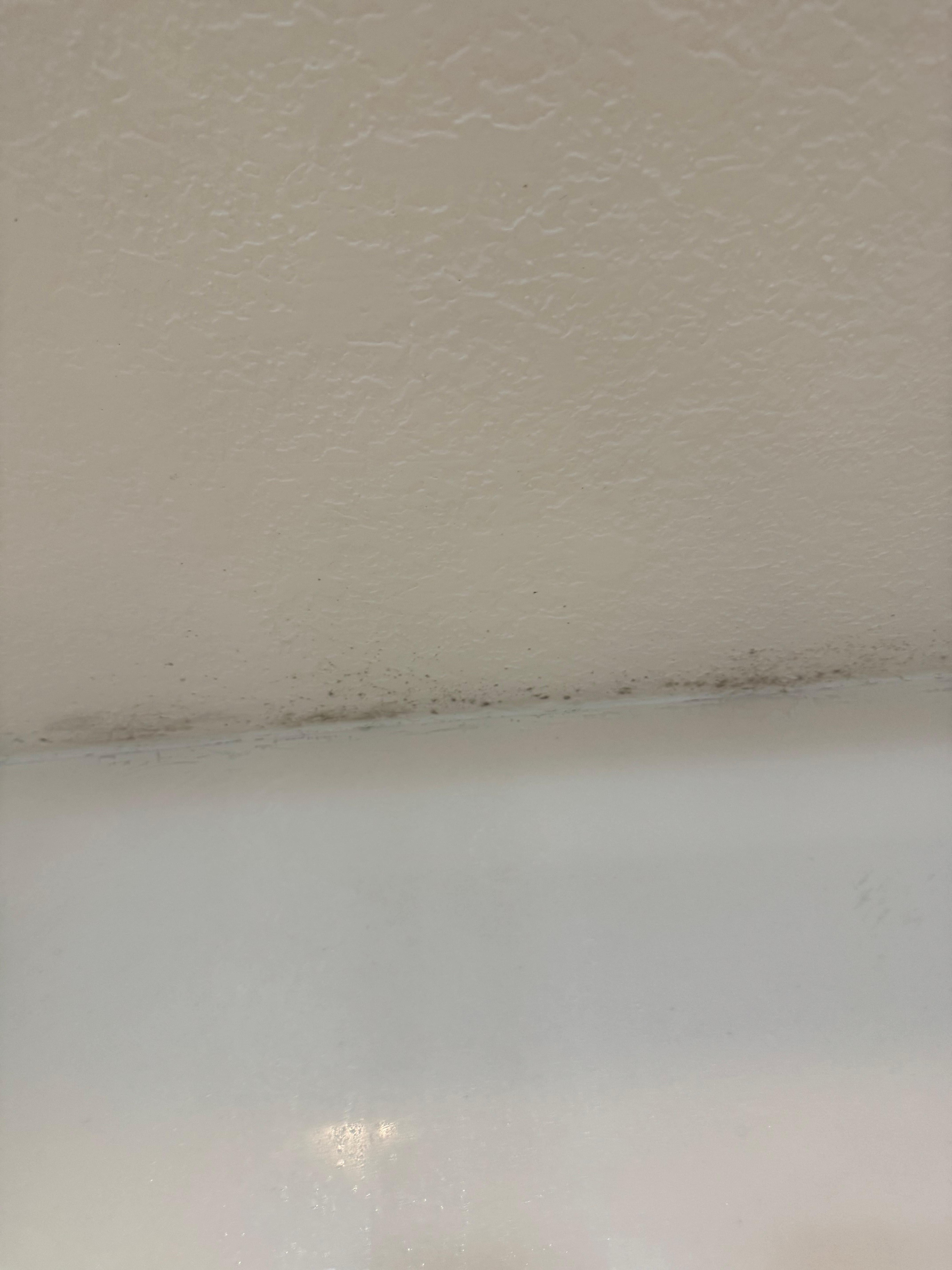 Mold in the master shower 