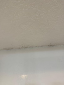 Mold in the master shower