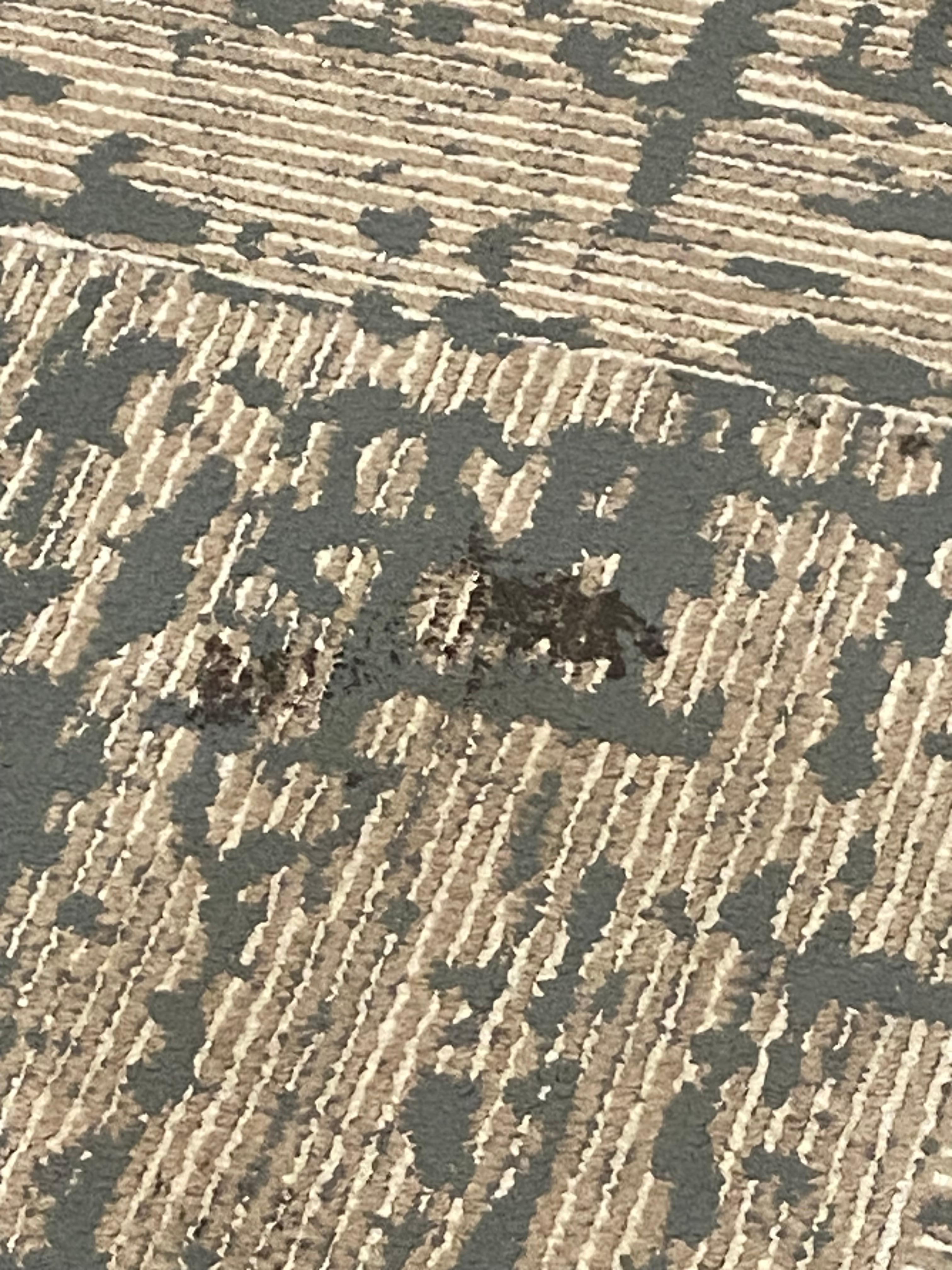 Stained carpet 2 in the hallway