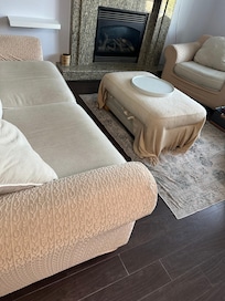 Dirty rug and sofa covers
