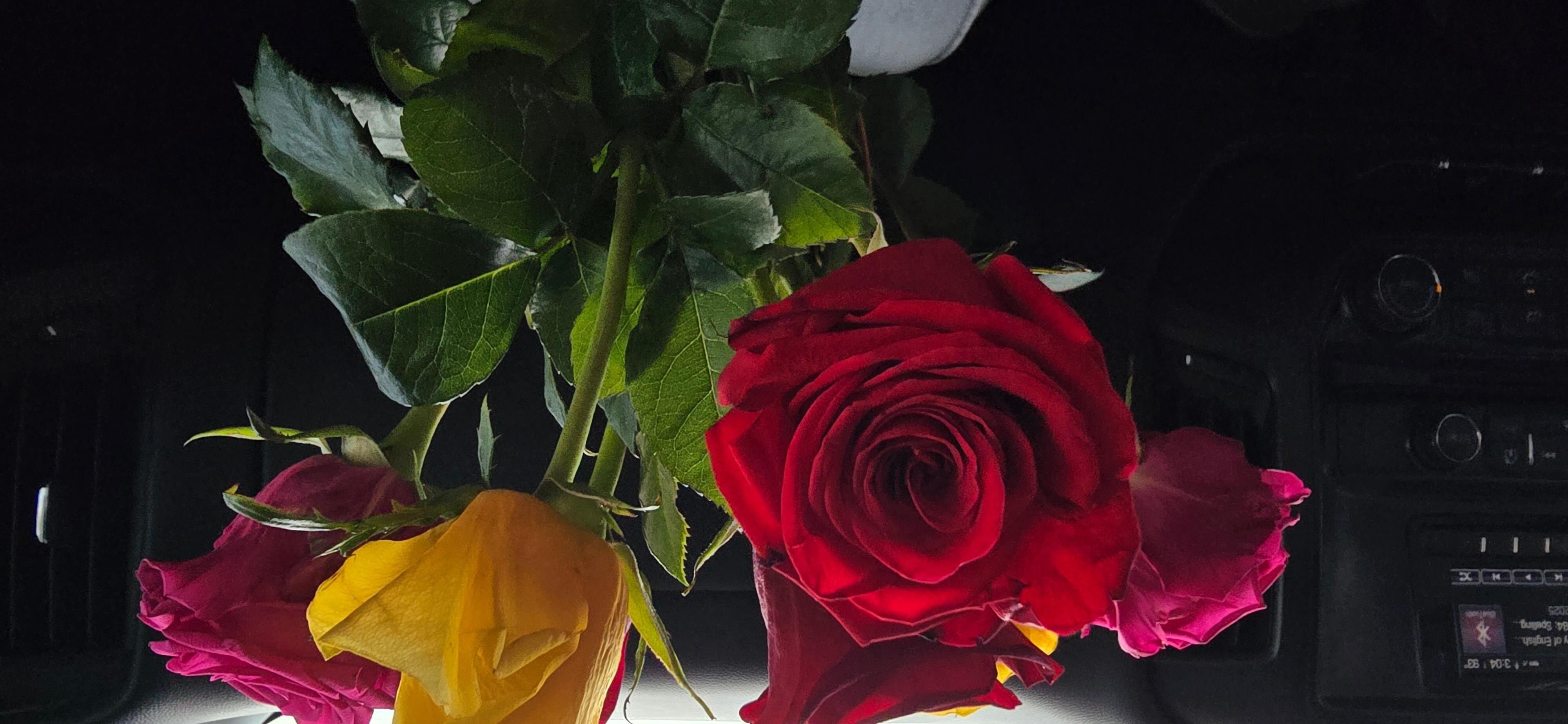 Roses from my husband!