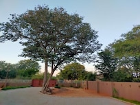 ZONA DE JARDIN