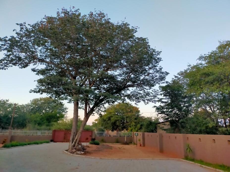 ZONA DE JARDIN
