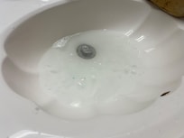 the sink has sitting water inside the bowl and is clogged water does not go down.
