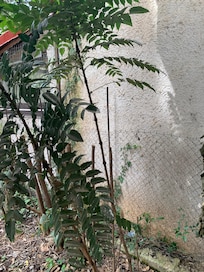 The view of the room