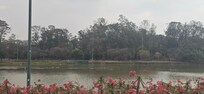 Ibirapuera Parque near the hotel.