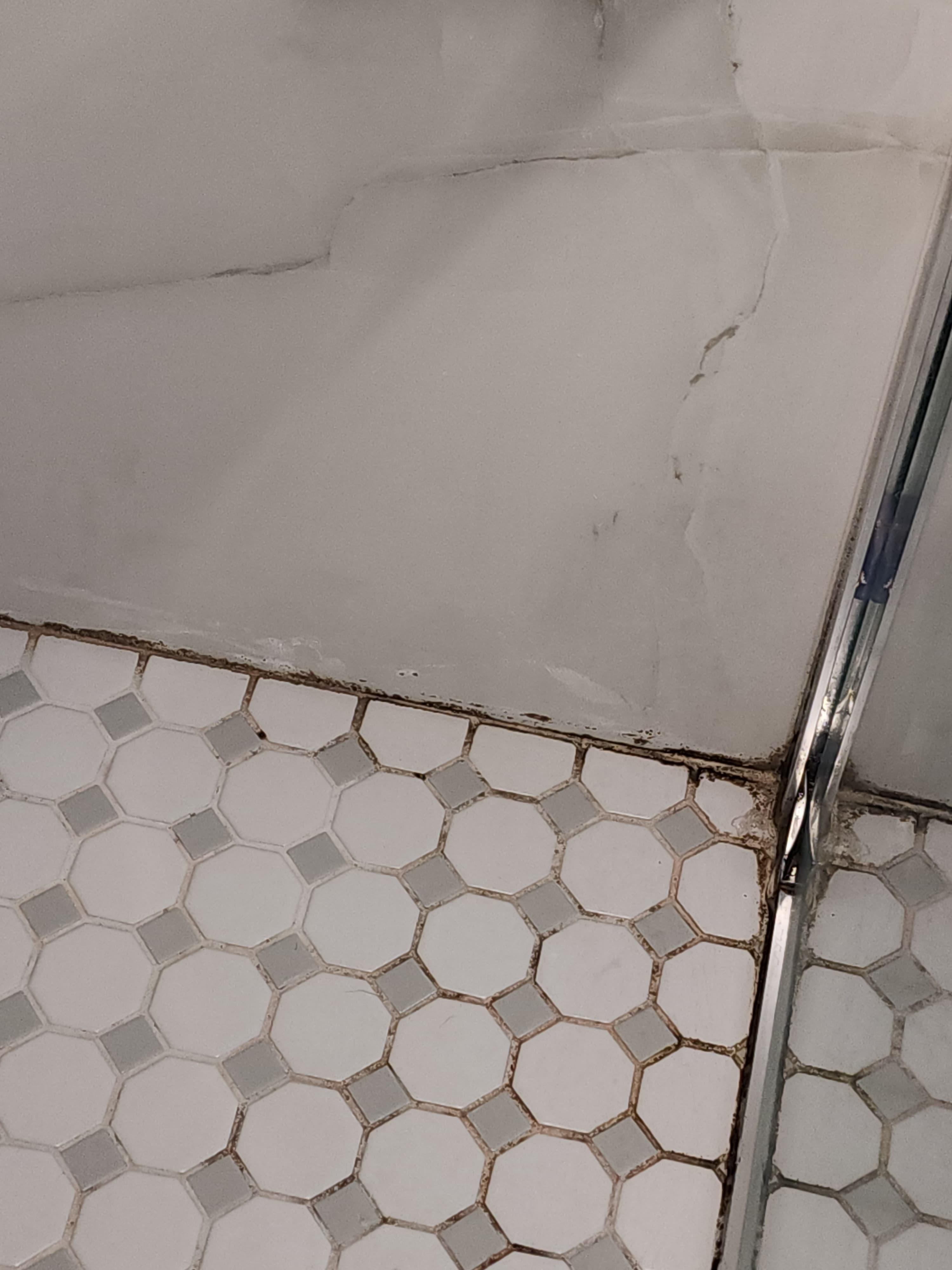 Mold in the shower