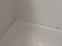 Mildew all over the bathtub