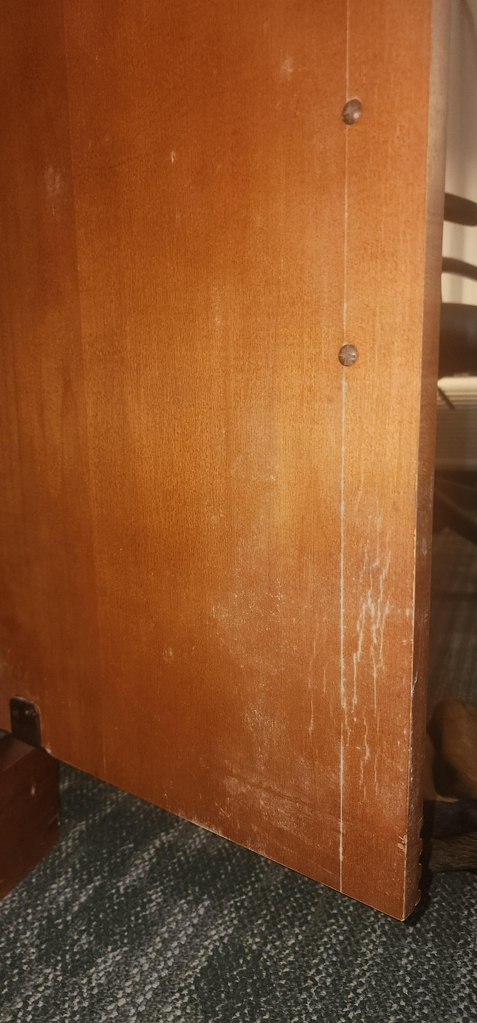 Fridge cabinet mold