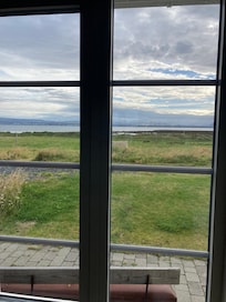 View of horses from hotel window