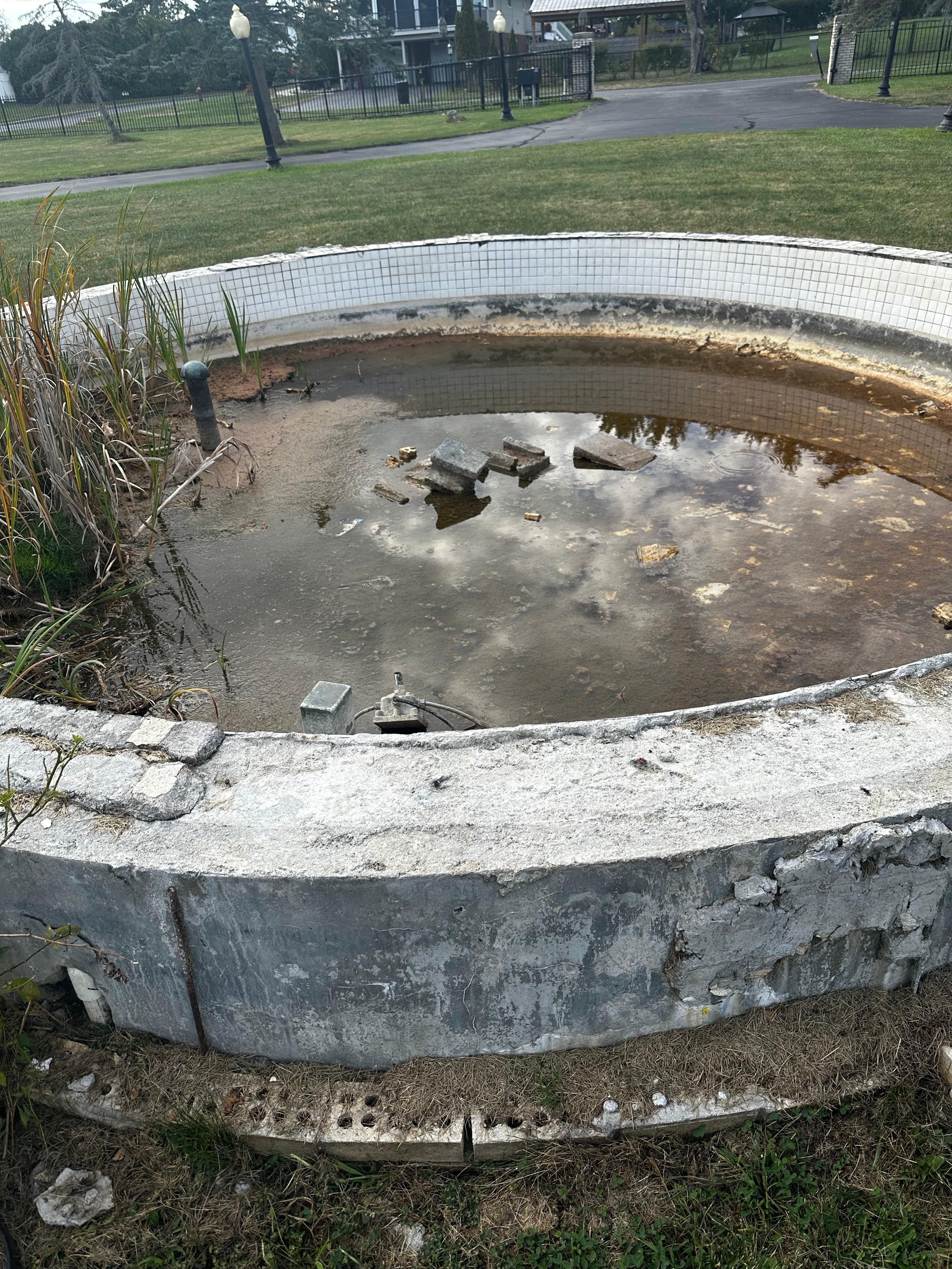 Front yard safety hazard