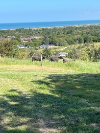 Aussicht Terrasse