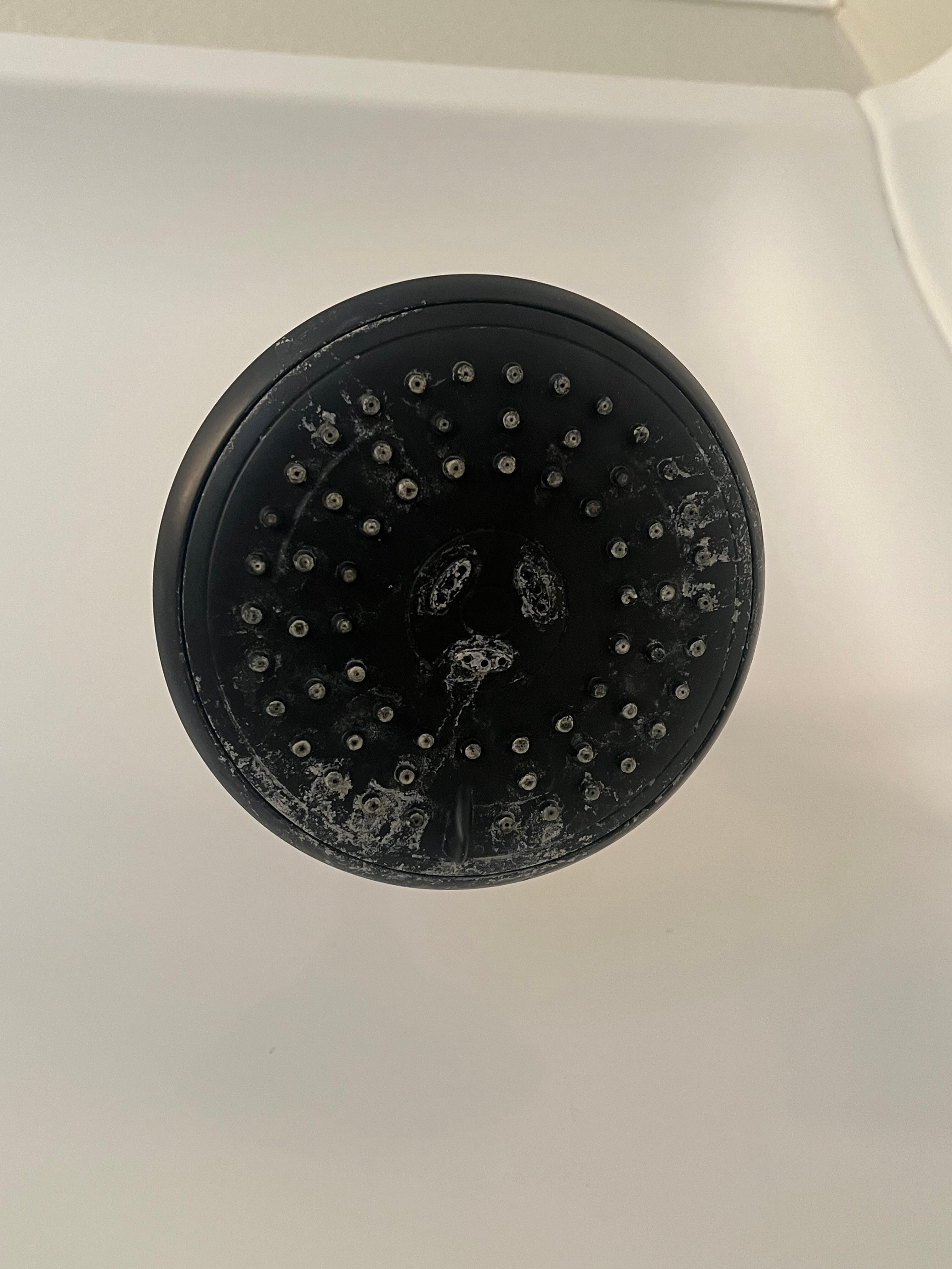 Shower head/Entire shower needed cleaning 