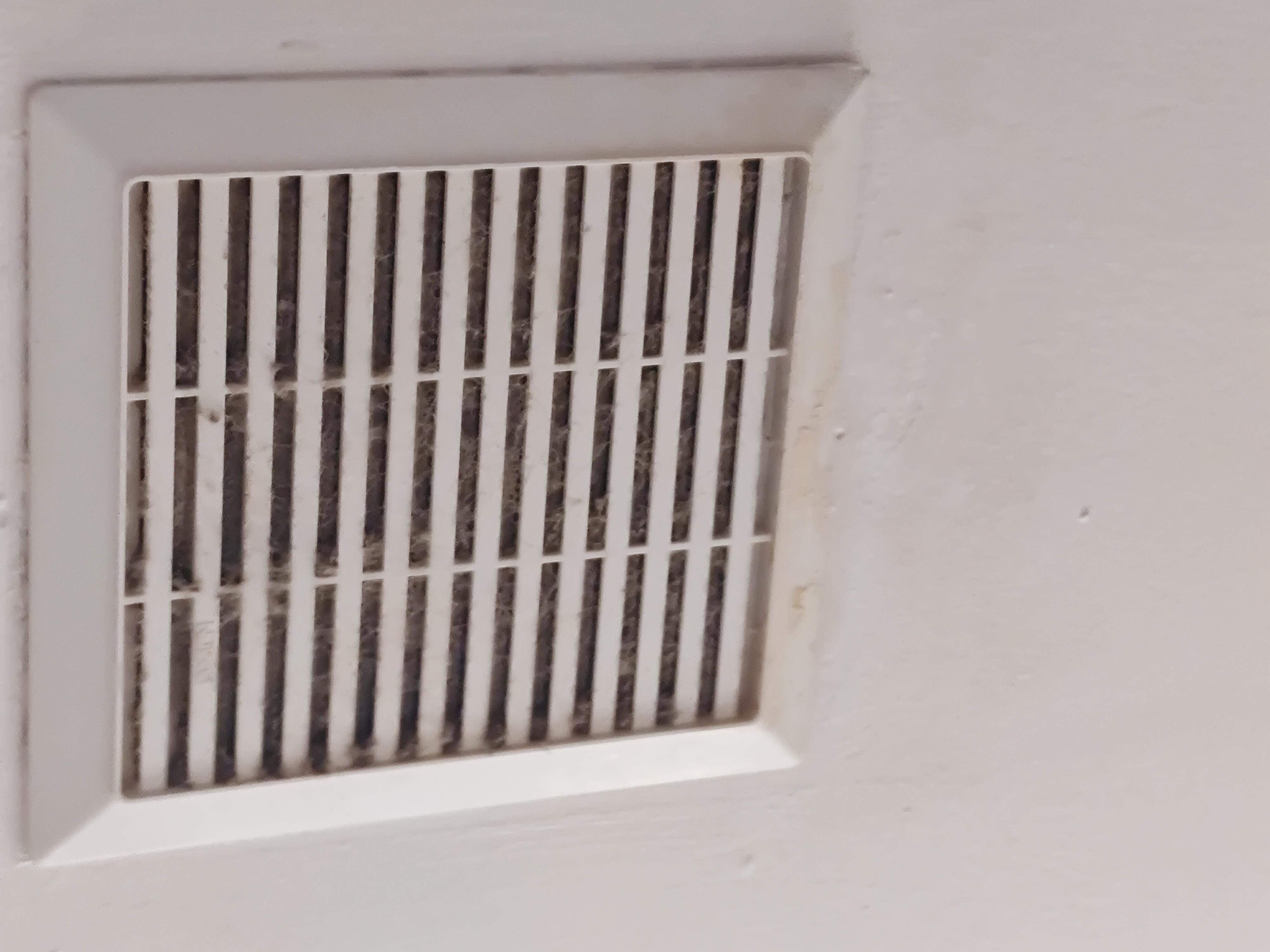 Hair and dust filled vents.