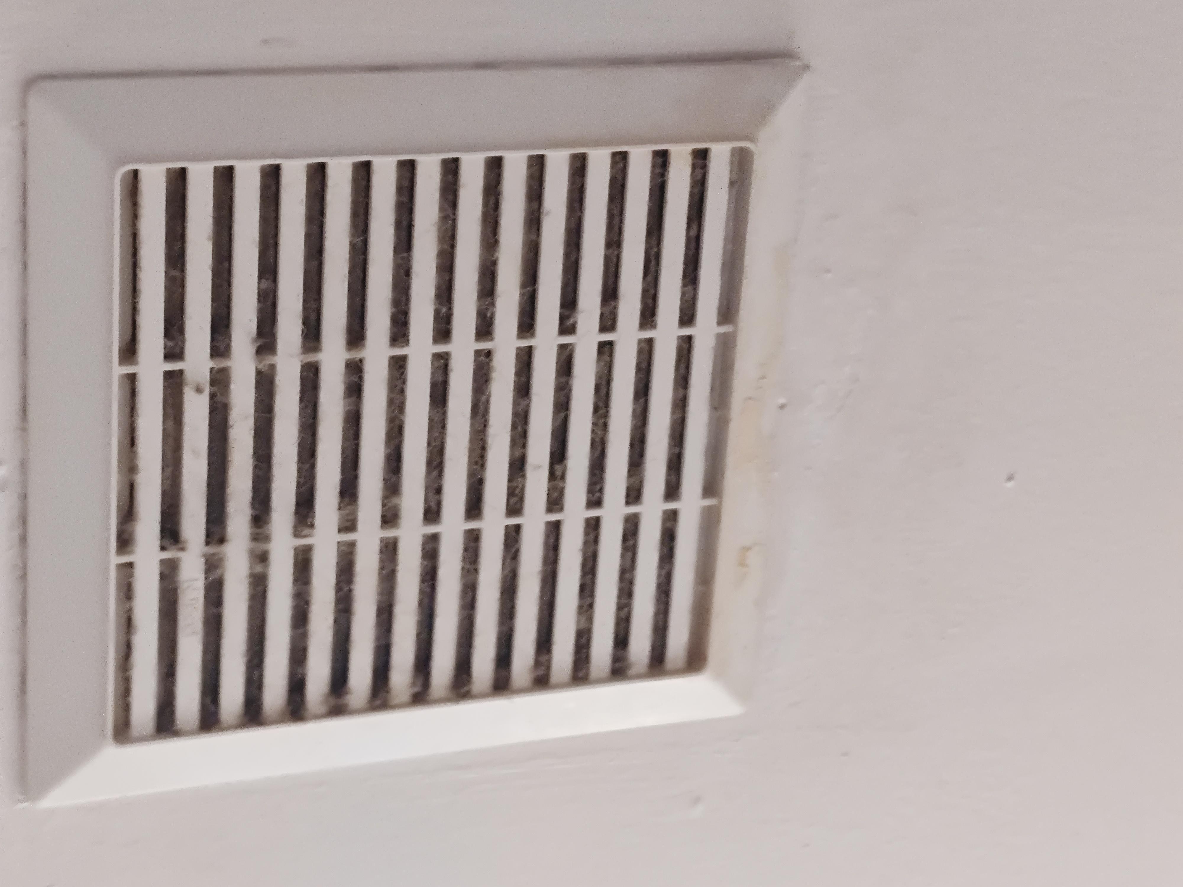 Hair and dust filled vents.