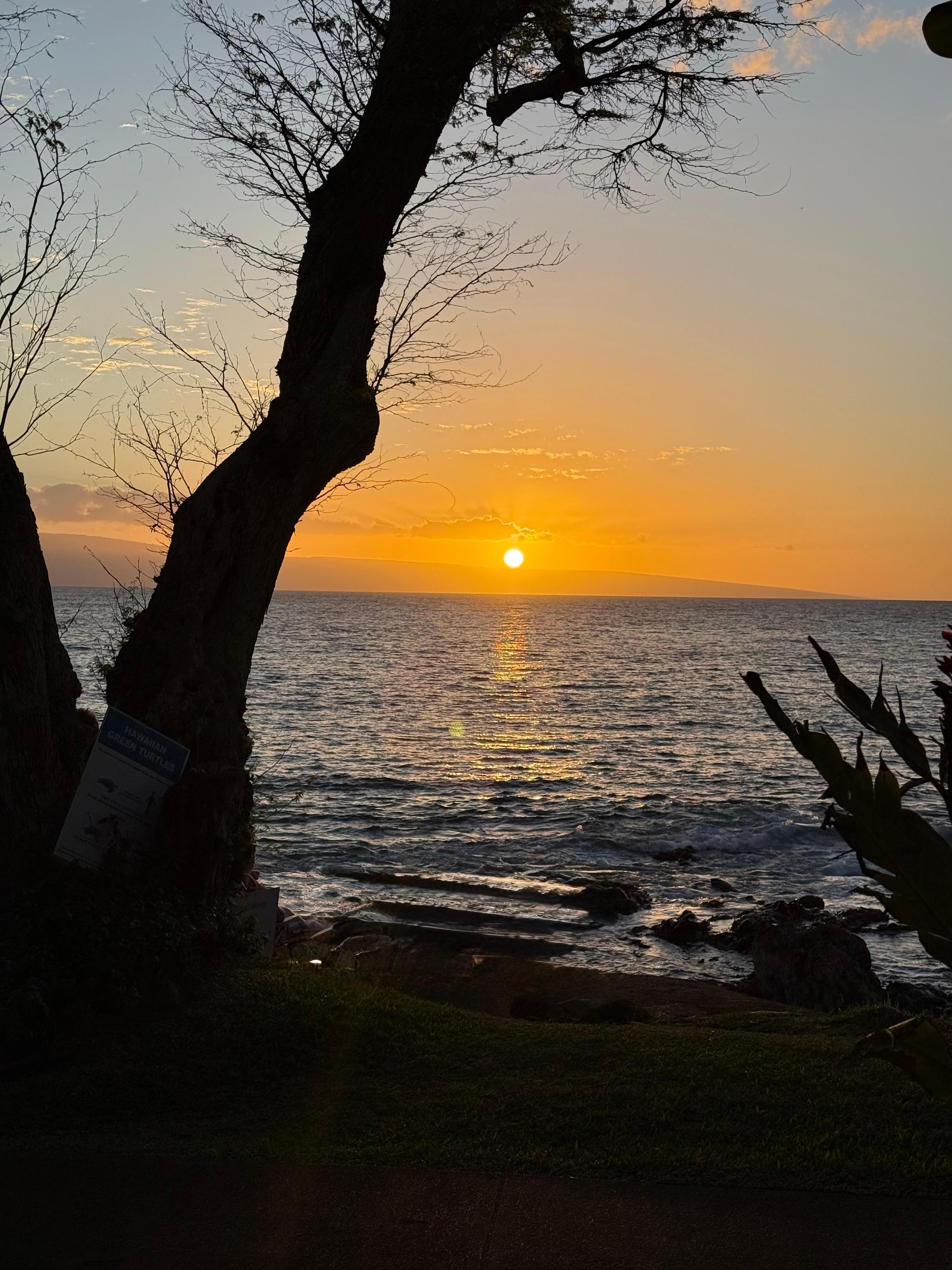 Sunset from the patio