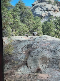 View from dining room window