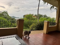 We had some little friends stop by!