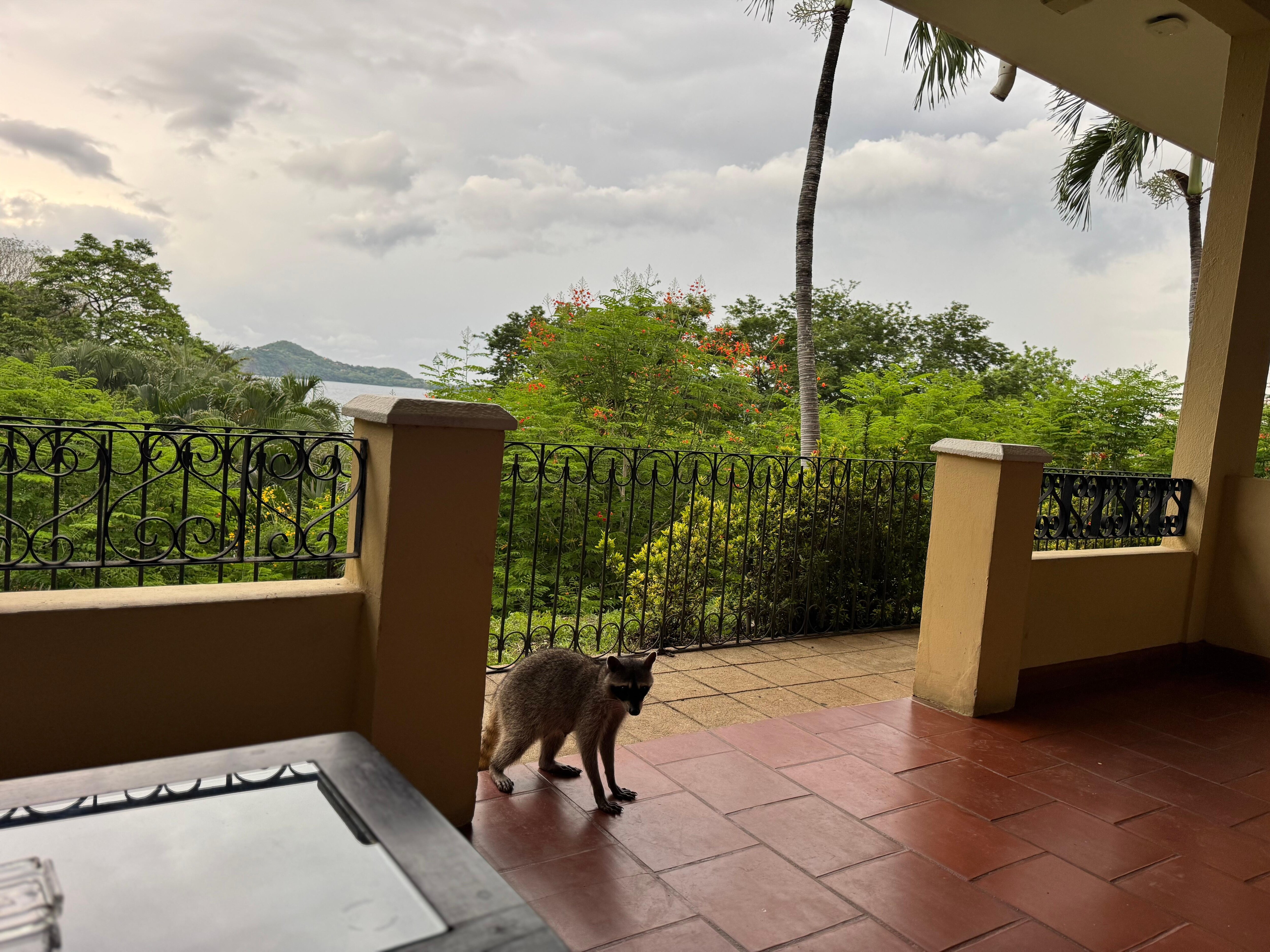 We had some little friends stop by!
