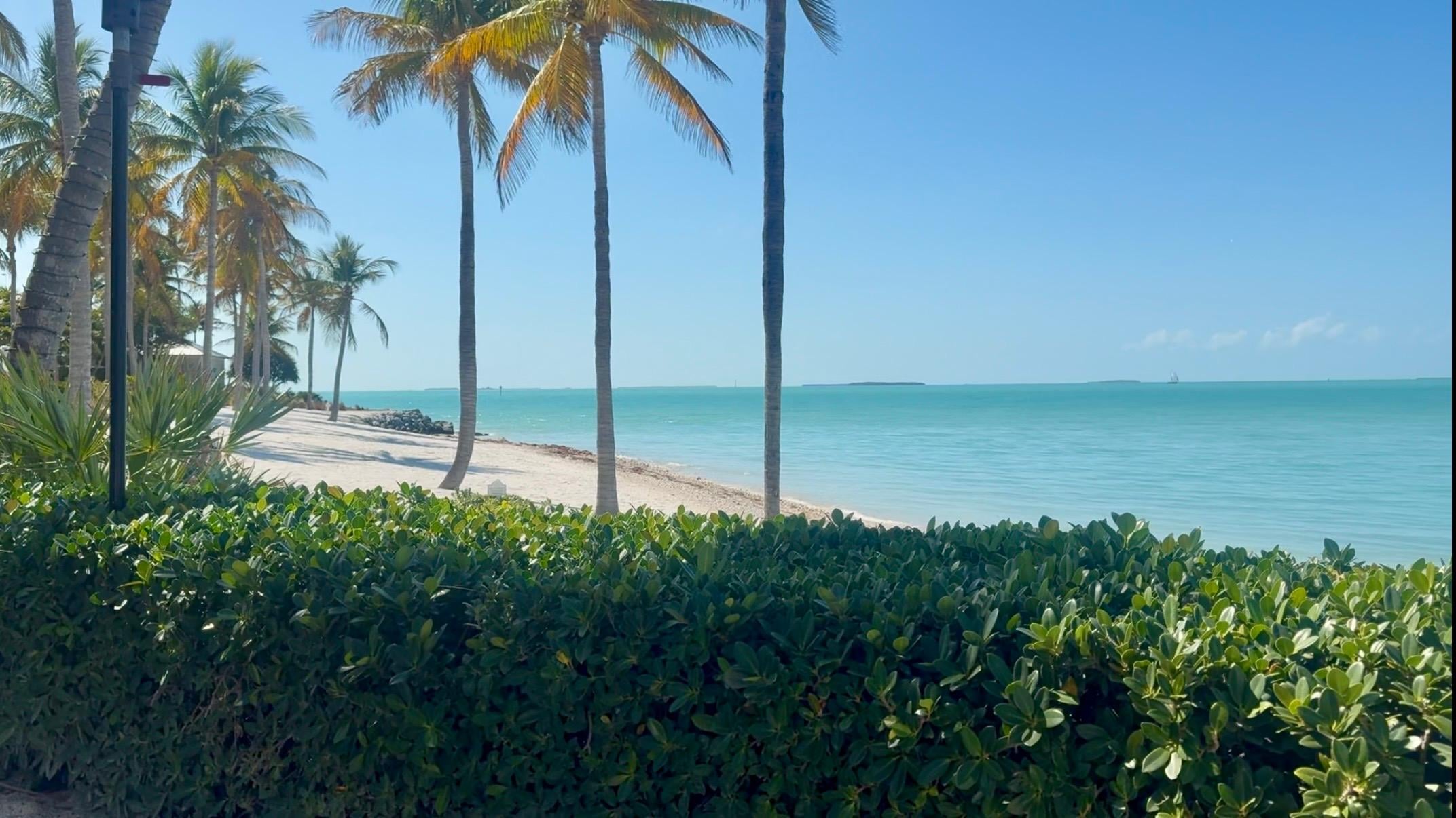 Lunch view at Latitudes 