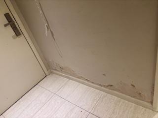 Water damage on walls with peeling paint and mold.