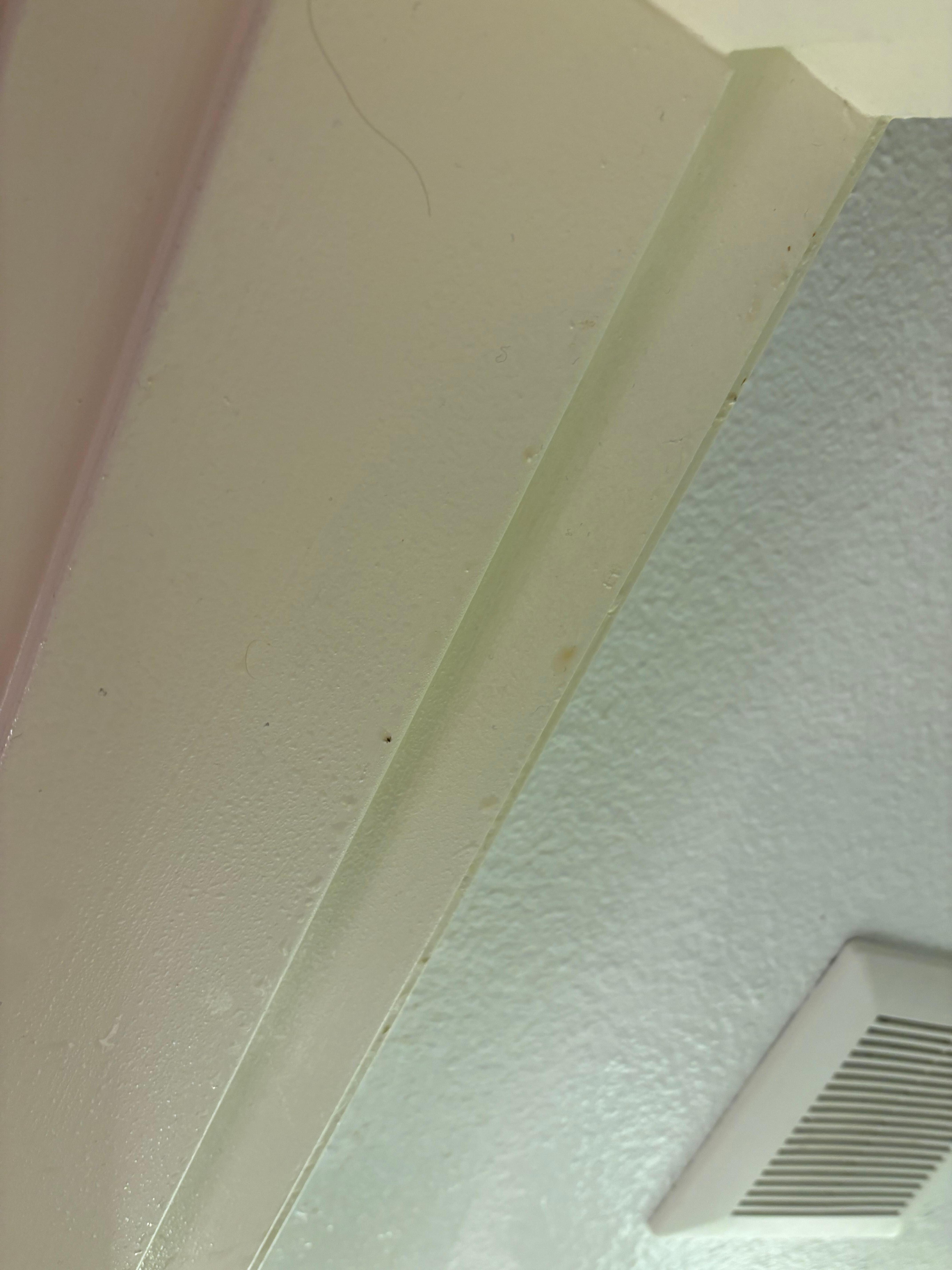 The ceiling/door frames were covered in condensation, dust, yellow goo, and hair. I noticed this after a drip of water dropped directly into my eye 🤮