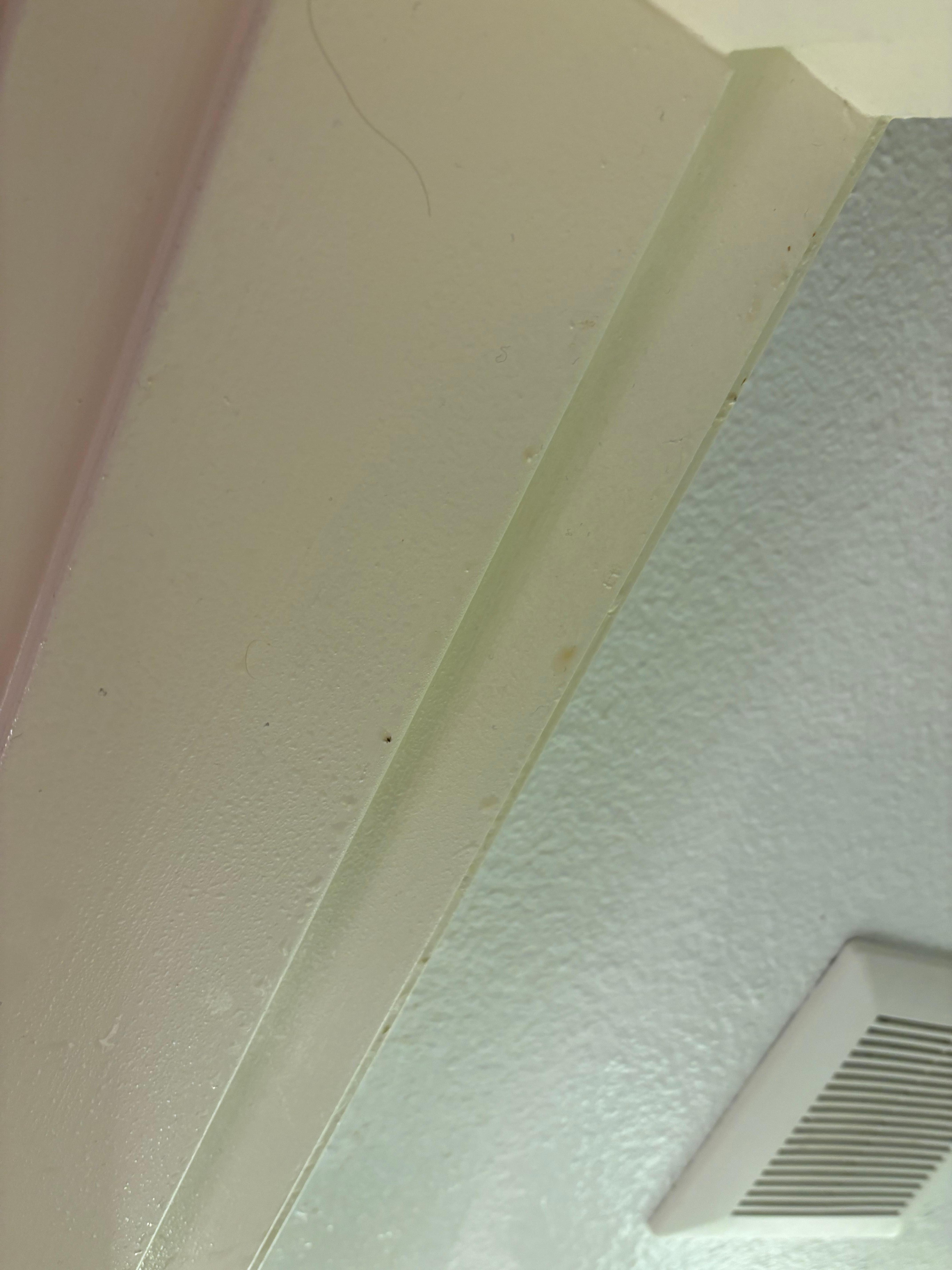 The ceiling/door frames were covered in condensation, dust, yellow goo, and hair. I noticed this after a drip of water dropped directly into my eye đ€ź