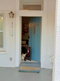 A photo with our pups…they were so happy here!