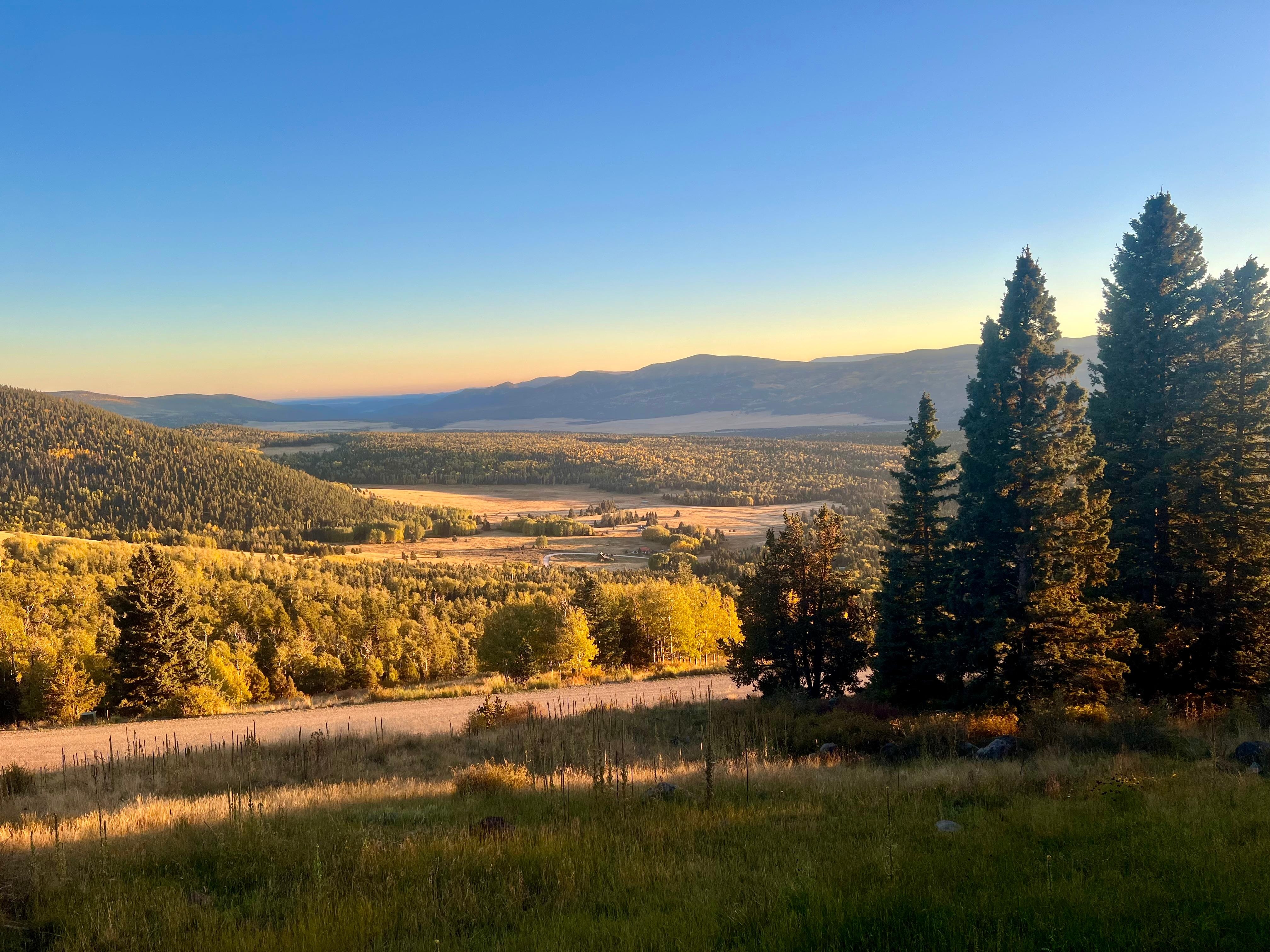 Just breathtaking beautiful. 