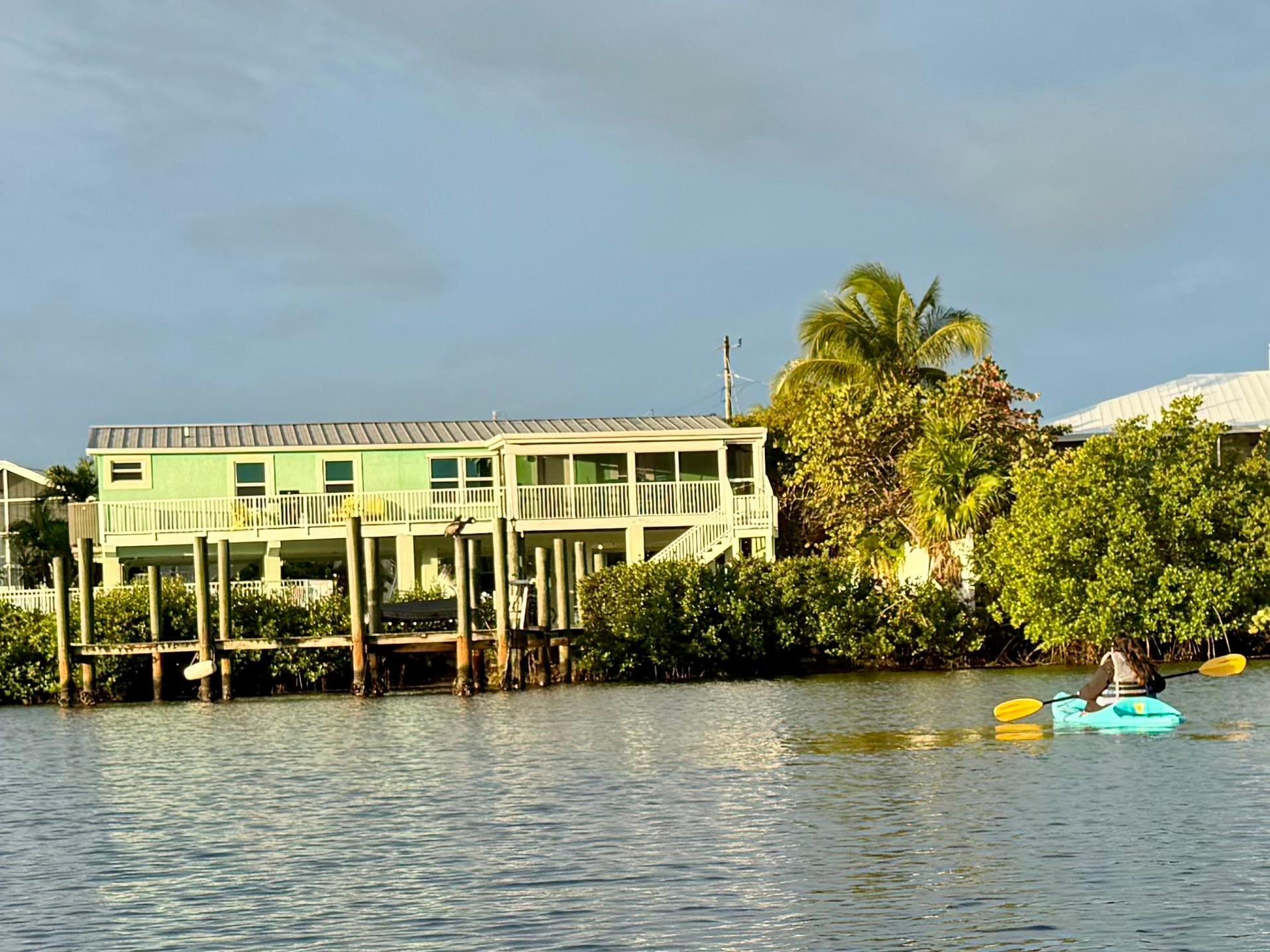 Back view from the water 