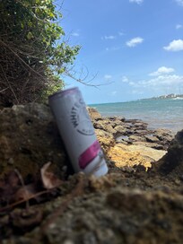 Exploring the beach