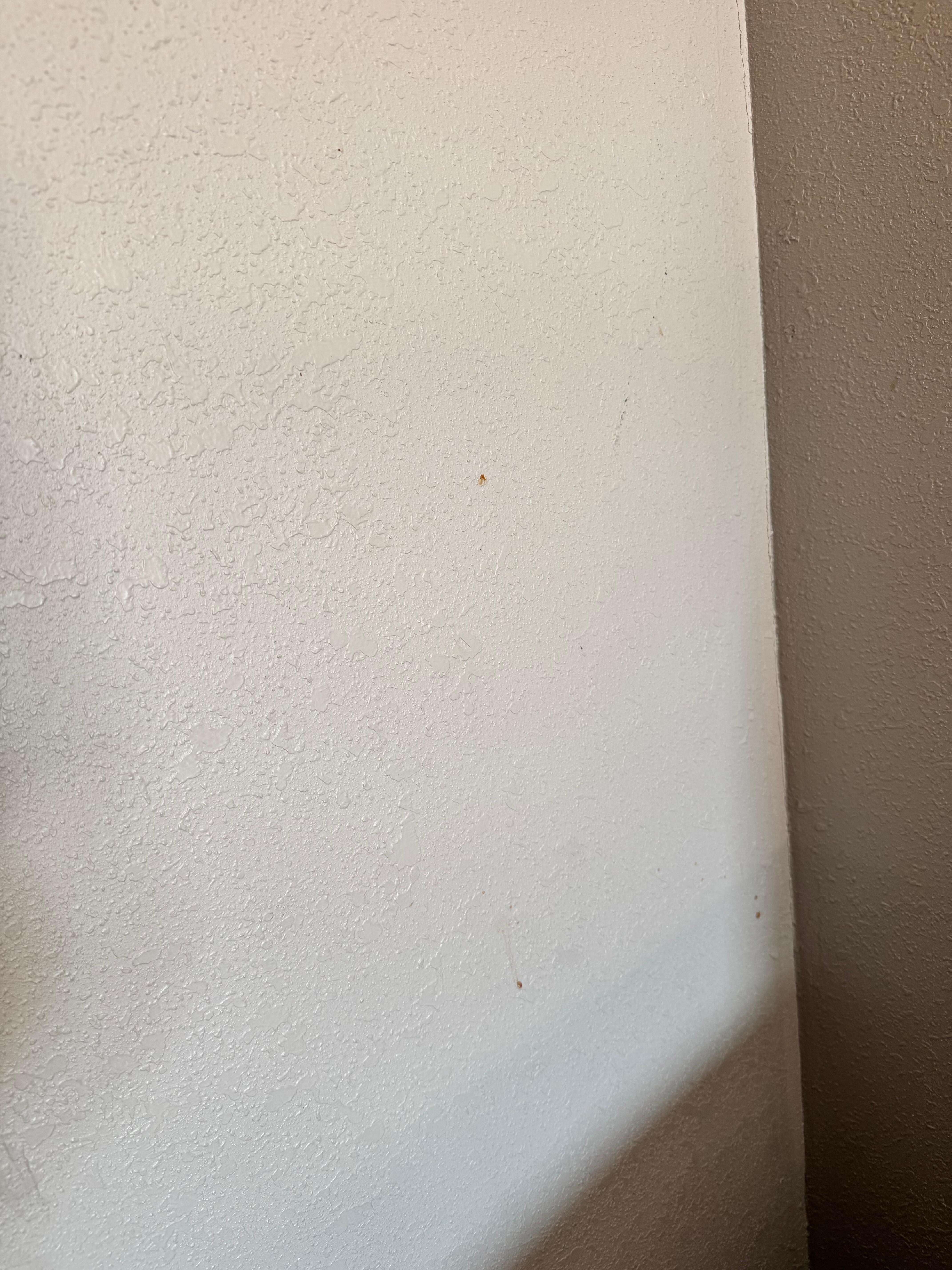 Dried dripping blood drops