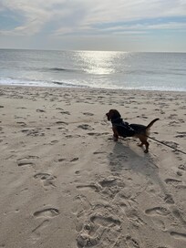 Dewey Beach