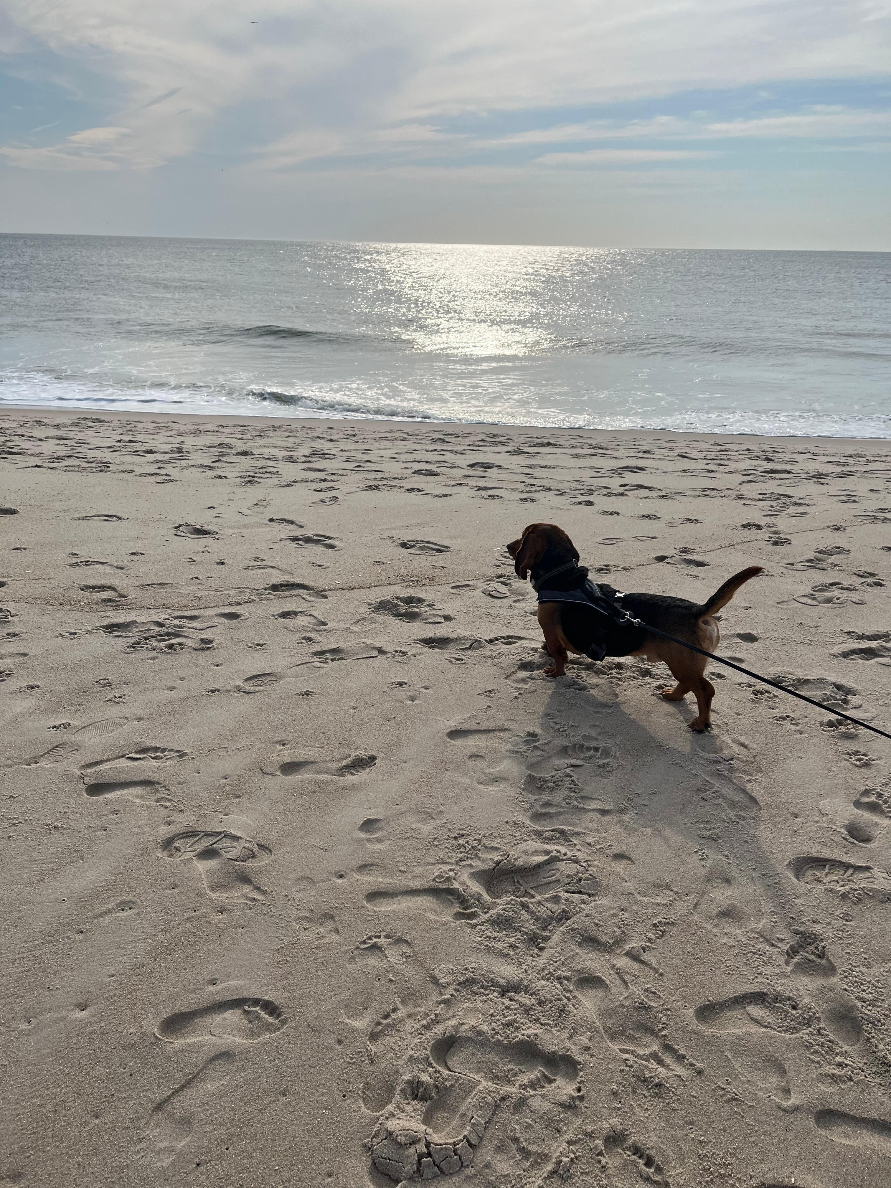 Dewey Beach