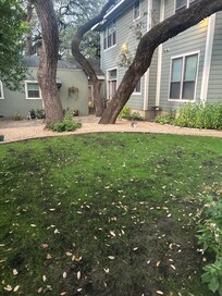 View from the backyard porch