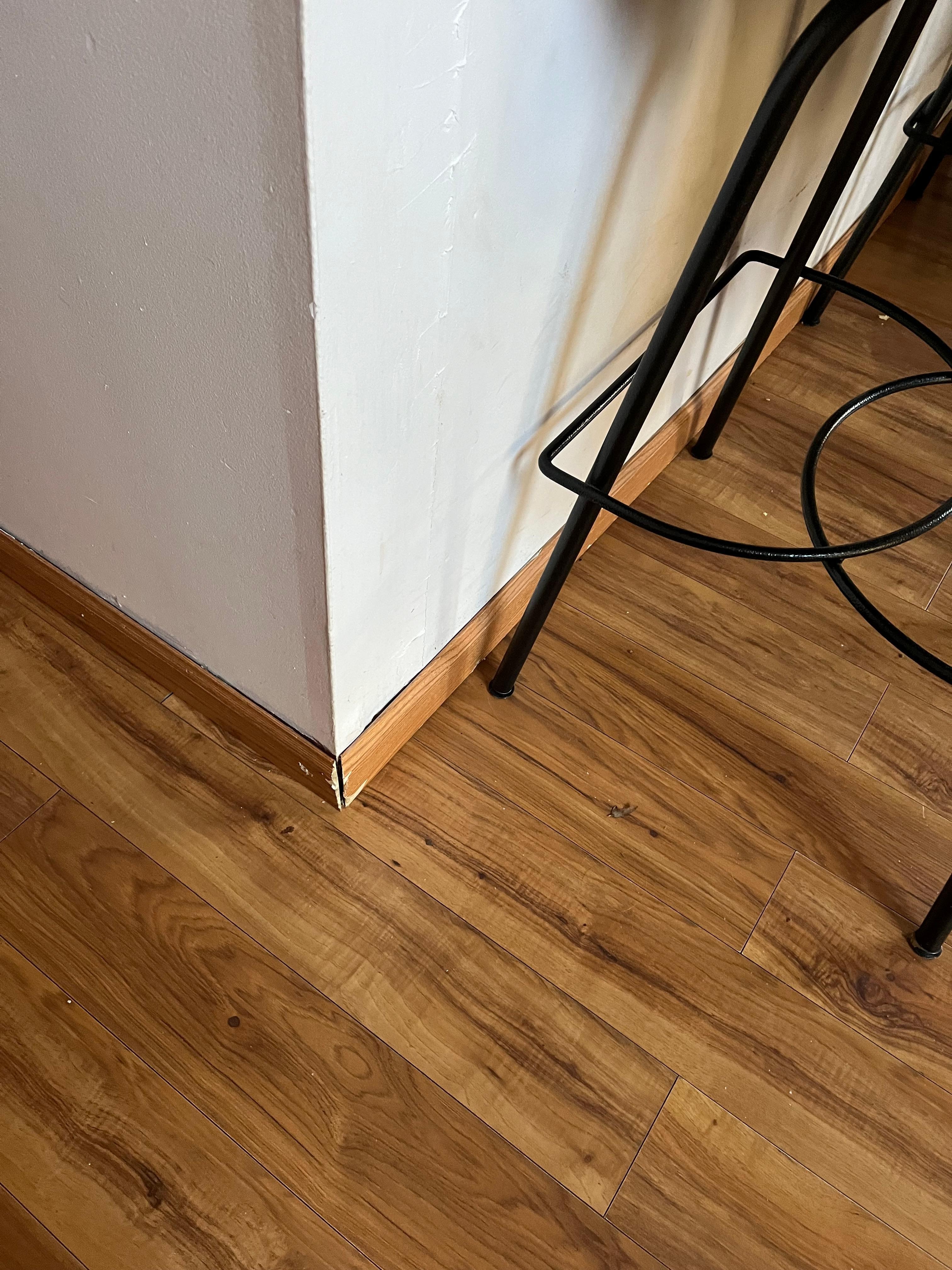 Crack in molding, coming undone