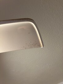 Built up historic dust on the ceiling fans in all rooms
