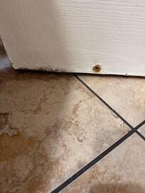 Literal hole and damage to bathroom door