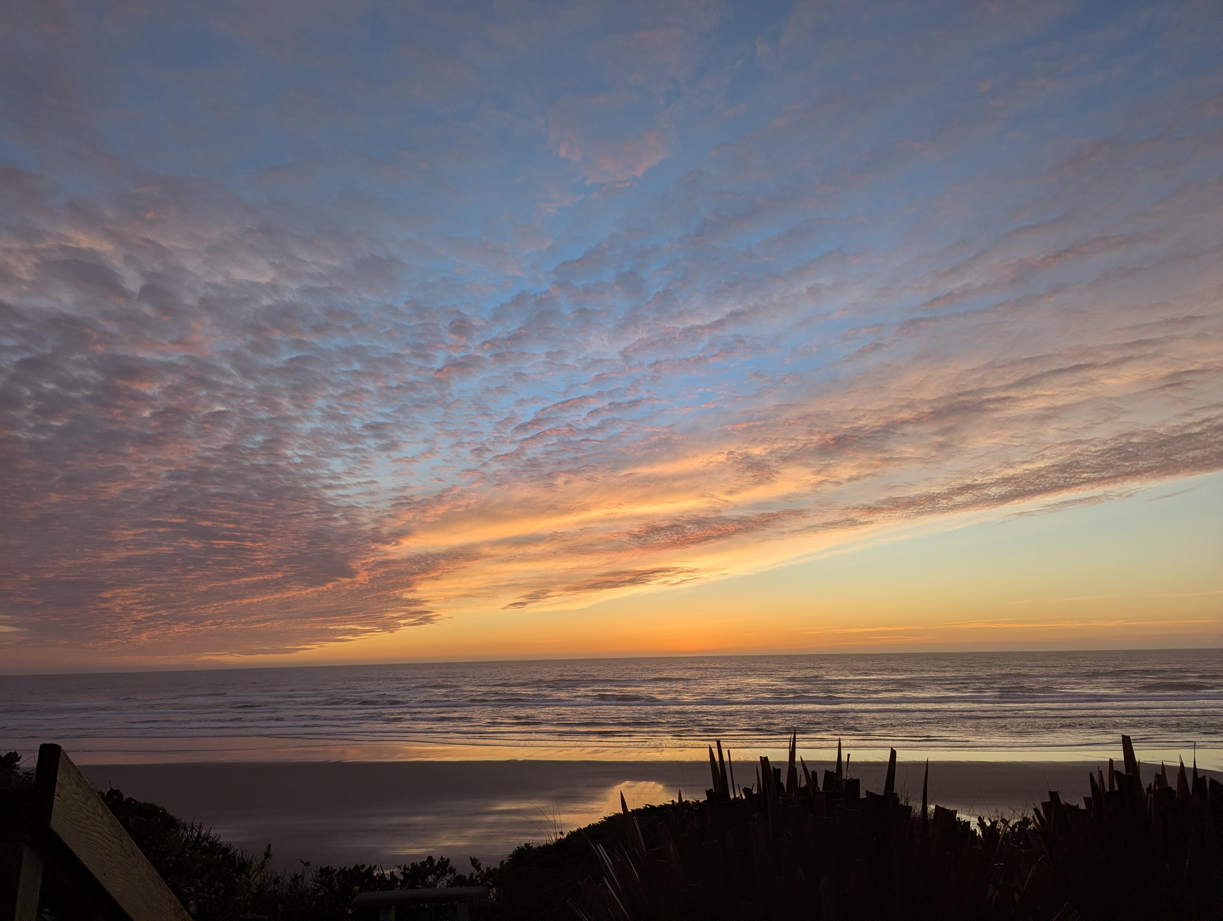View from the cottage