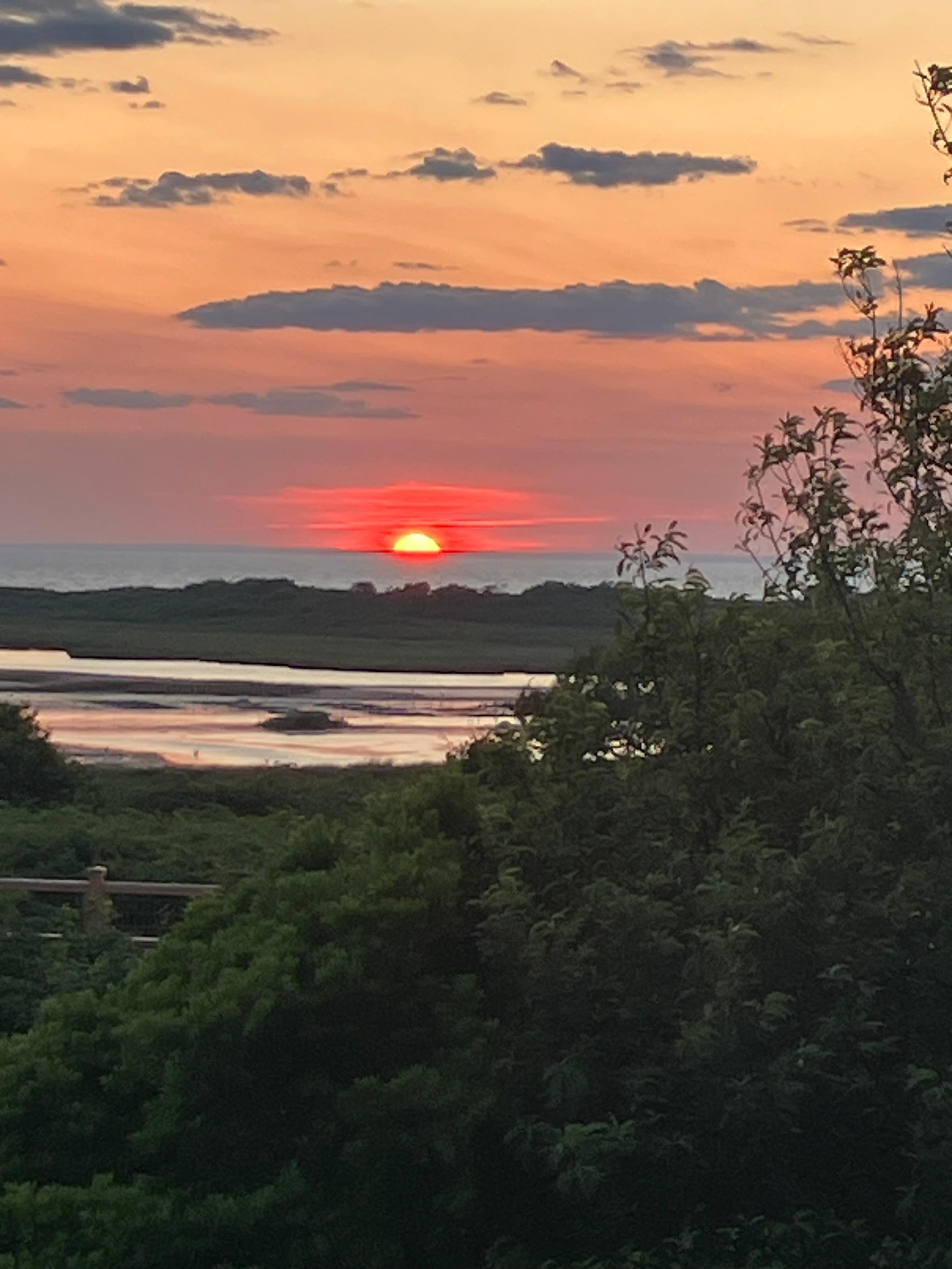 The view from the house. 
