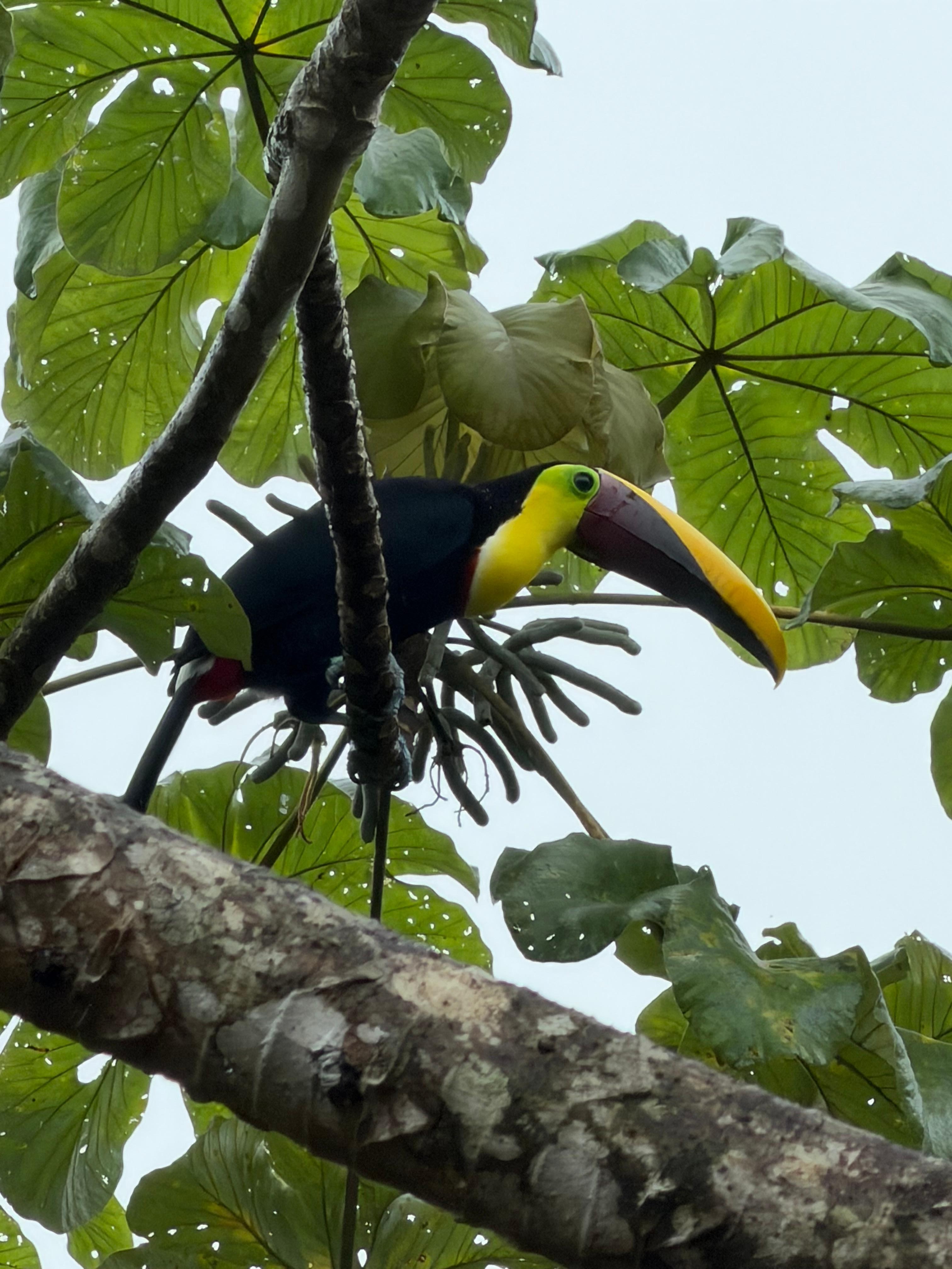 Lots of nature spotting