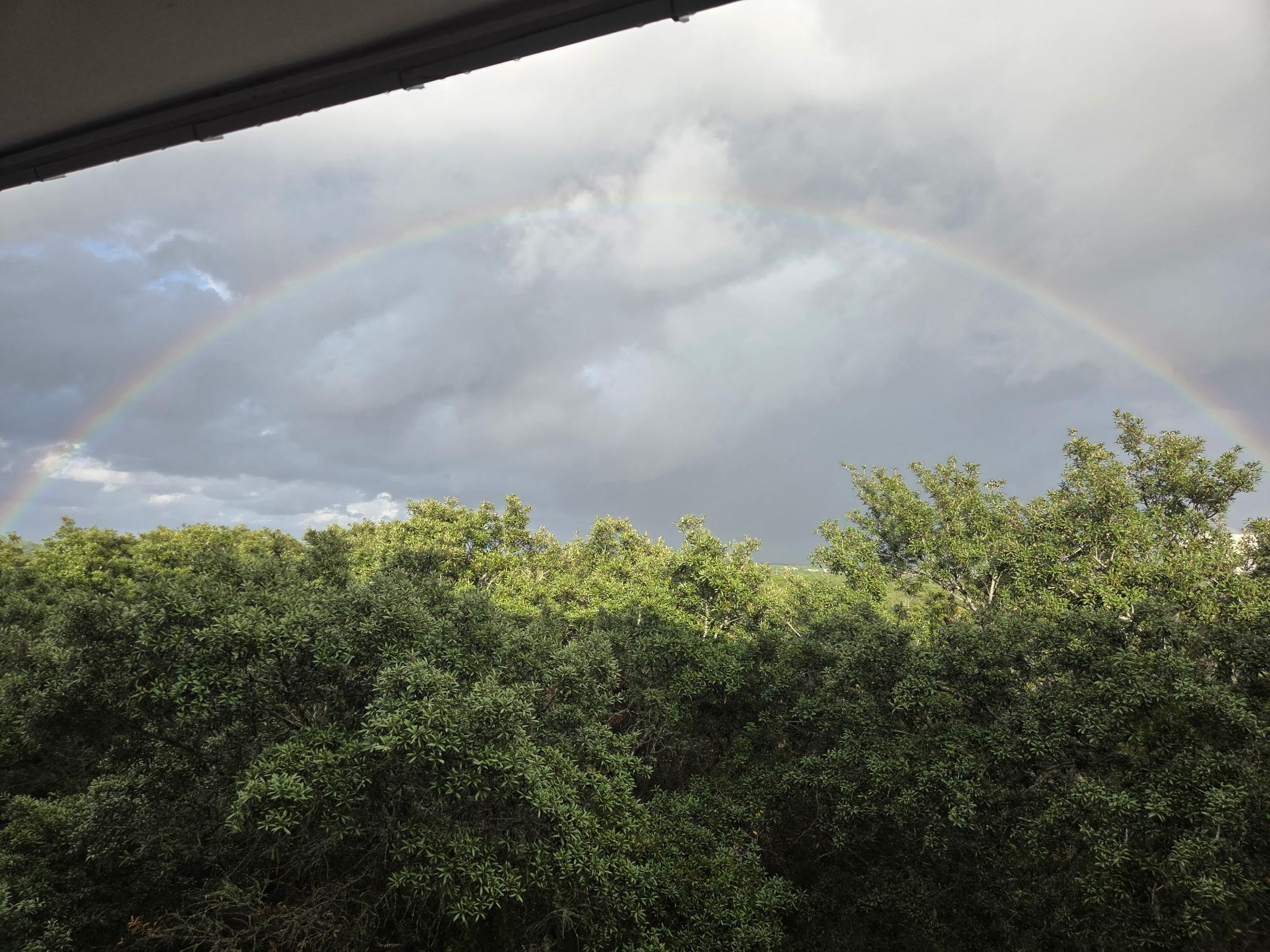 Beautiful rainbow after a quick shower our last day.  Taken from hallway outside unit. 